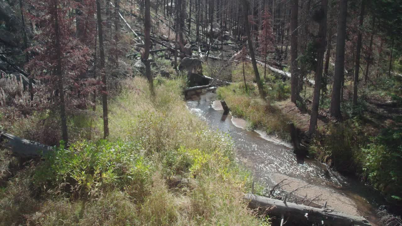 침엽수림과 부분적으로 불탄 숲을 통과하는 작은 강 위의 공중 비행