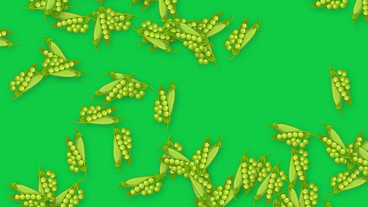 Baccelli di piselli verdi animati cadono verticalmente su uno schermo verde vibrante con ombre morbide.