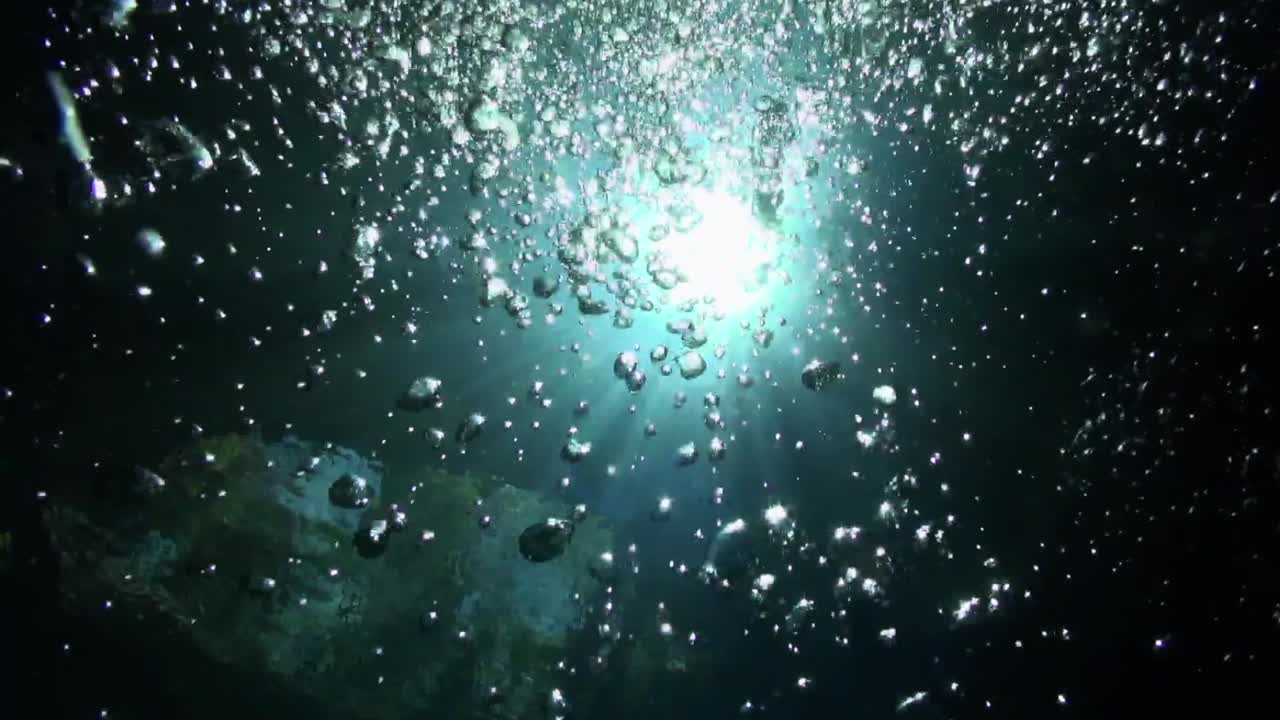 거품이 태양 광선으로 상승