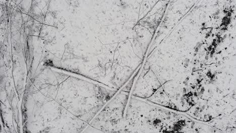 top-down view of forest with fallen trees covered with snow and footprints in winter