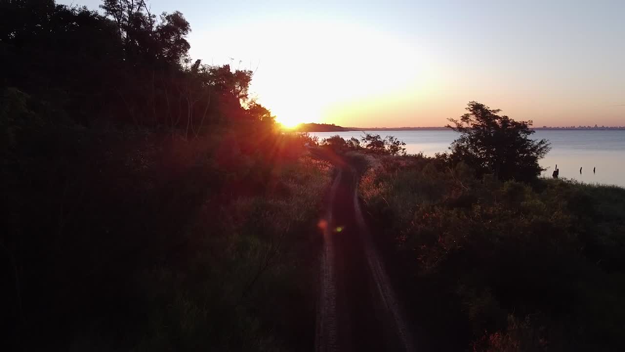 dron pasando cerca de un camino de tierra y entre las plantas