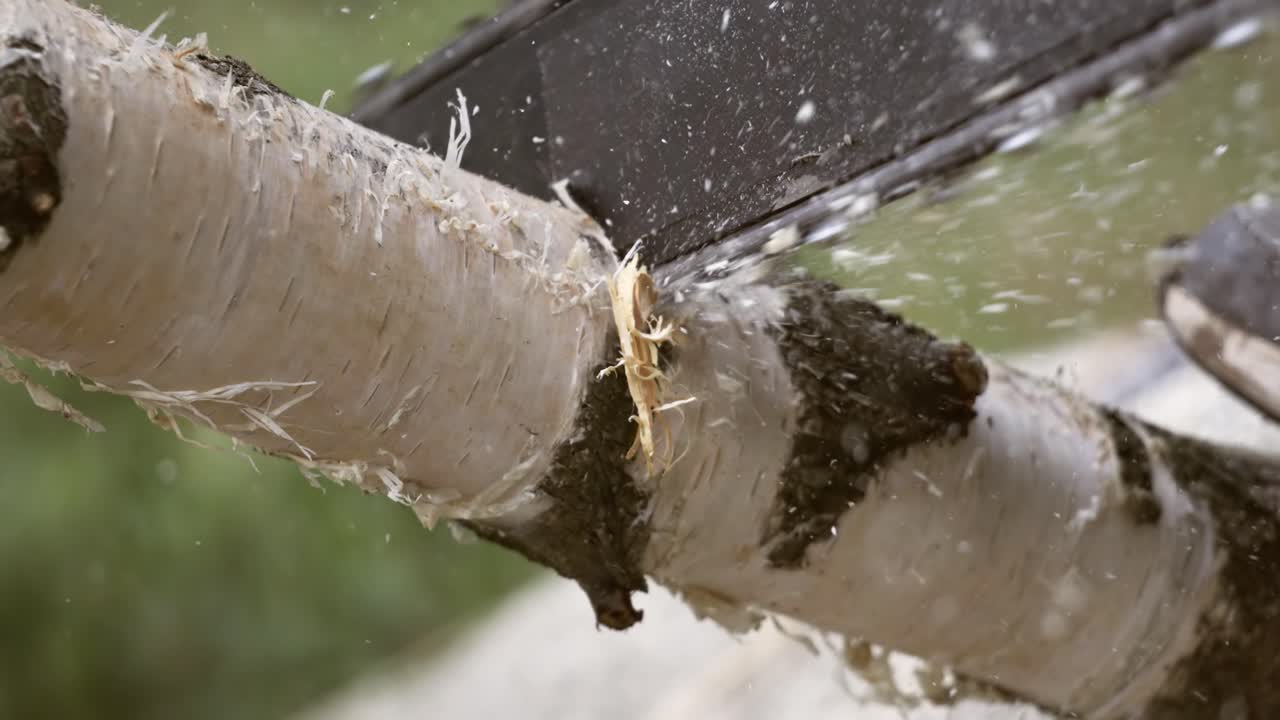 나무 는 사람은 에 있는 전기 체인 로 나무를 는다. 은 자유 낙하, 절단, 화재 휴식 및 연료 수확과 같은 활동에 사용된다. 슈퍼 슬로 모션 1000 fps로 촬영된다.
