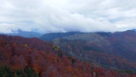 Vista-Aérea-De-Montañas-Y-árboles-Coloridos