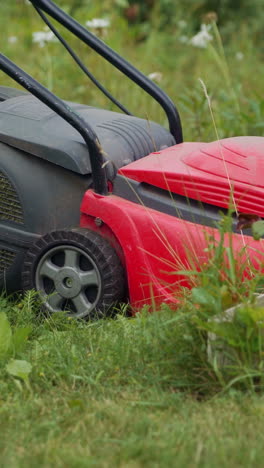 close-up of mowing the lawn. gardener mowing the grass with lawn mower vertical video