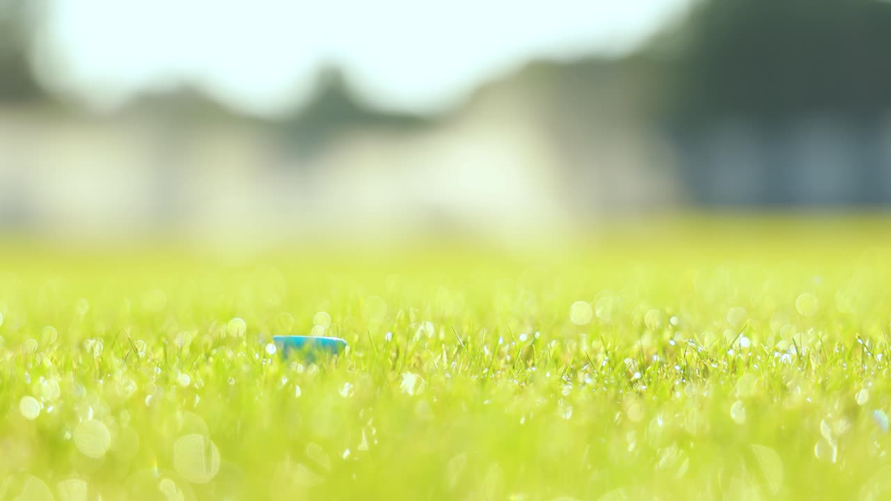 손 장갑으로 골프 공을 티에 놓는 것