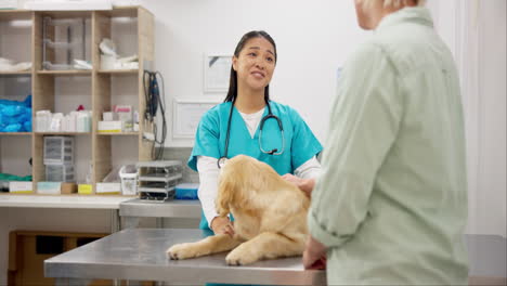 Dog,-happy-woman-and-vet-with-hand-shake