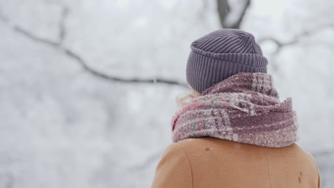 a woman admires the snow-covered forest view from behind