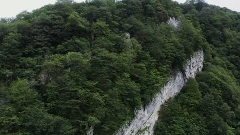 mountain forest landscape