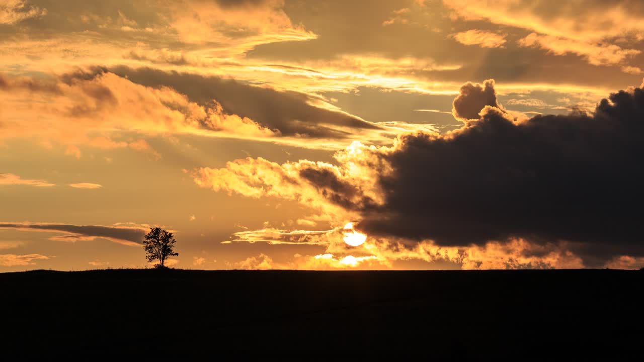 Sun setting behind a hill with lonely tree on the horizon.  Video with camera motion