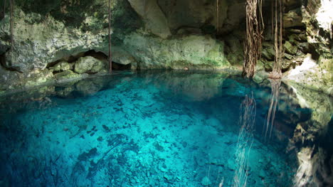 Cristal-Cenote-00