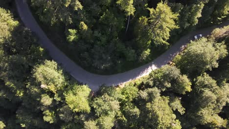 Metraje-De-Drone-De-Camino-En-Zigzag-Entre-Bosque-4