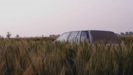 Blick-Auf-Das-Auto,-Das-Sich-Im-Ländlichen-Weizenfeld-Des-Weizens-Versteckt