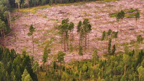aerial view of a large deforestation site in rural latvia surrounded by dense forest.