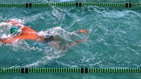 nadador en forma haciendo el golpe de mariposa en la piscina
