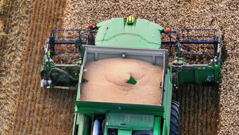 Moder-single-combine-harvester-mows-grain-by-daylight-in-Black-Forest,-Germany