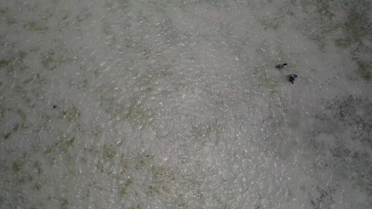 Luftaufnahme von oben: Zwei Männer beim Fliegenfischen in flachen türkisfarbenen karibischen Gewässern