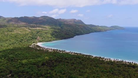 Unberührter-Tropischer-Weißer-Sandstrand,-Gesäumt-Von-Palmen,-Playa-Rincon