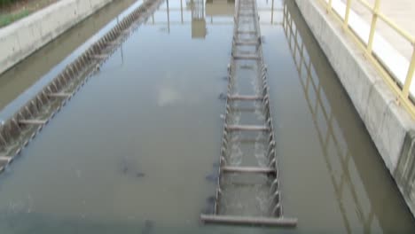 sedimentation round tank with rakes around