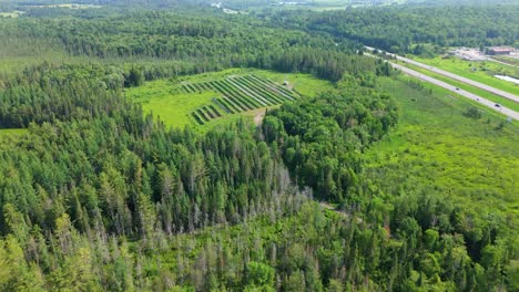 a solar farm amidst green forests and roads in muskoka, ontario, canada, aerial view