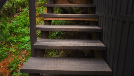 wooden stairs serve as access way for guests to house. surrounded by thick forest abundant with greenery stairs facilitating both ascent and descent for visitors