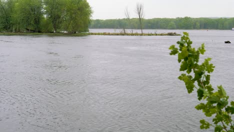 Tree-Branch-Blowing-In-The-Wind-With-Flowing-River-In-The-Background-On-A-Cloudy-Day