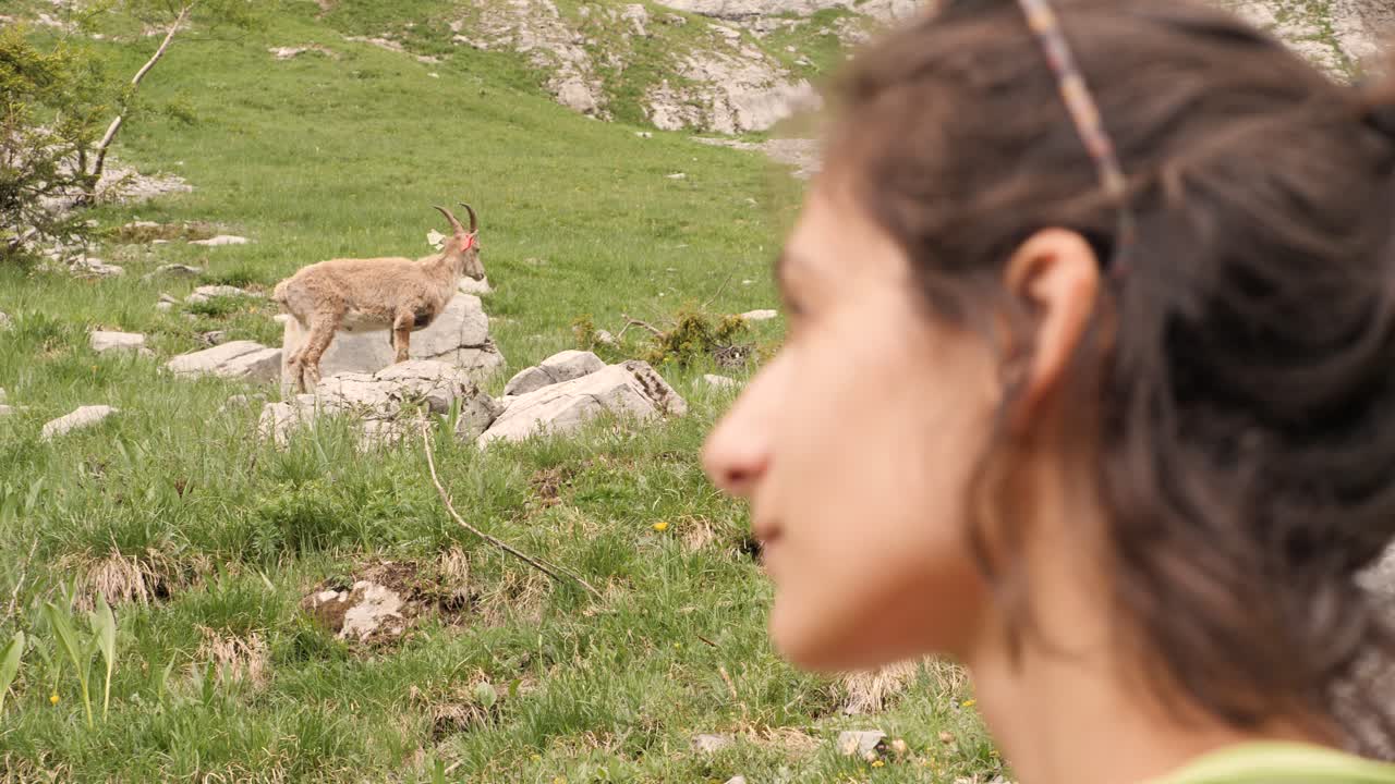 A gorgeous young woman turns her face to find a gorgeous Ibex in the background during a hike to the Refuge de Salles, Sixt-fer-à-cheval.