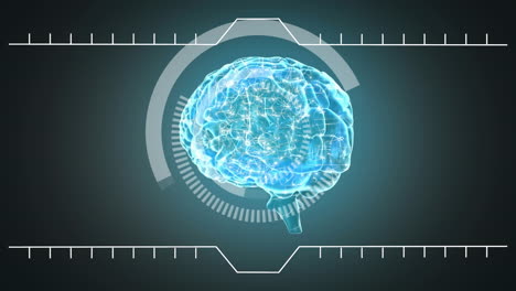 ilustración en 3d del cerebro humano