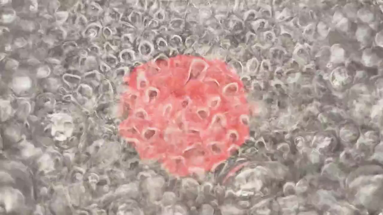 Primo piano dall'alto di carne cruda che cuoce in acqua che bolle rapidamente con bolle.