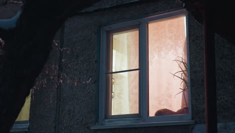 residential building with light streaming from a window, casting a warm glow, with tree branches visible in the foreground, the window curtains are gently illuminated by indoor light