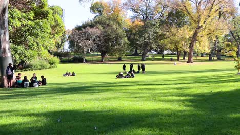 people enjoying a sunny day in the park