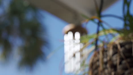 Out-of-focus,-blurry-and-calming-view-of-a-tropical-scene-with-blue-sky-and-garden-plants