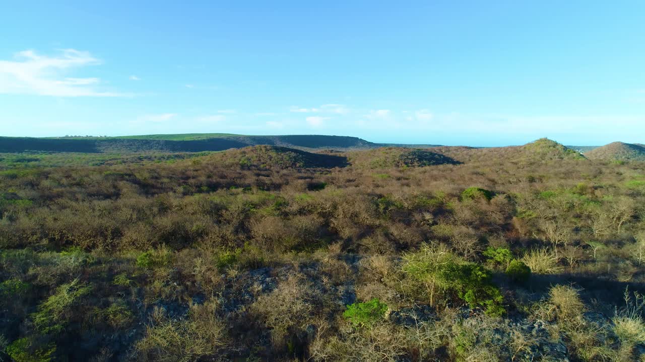 ladera de la colina de paisaje árido seco con arbustos verdes secos marrones rojos, aérea