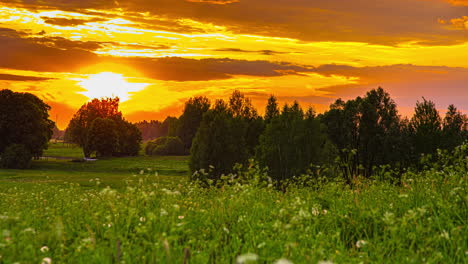 bright burning golden hour sunset at tree filled landscape, low angle with grass in foreground, timelapse