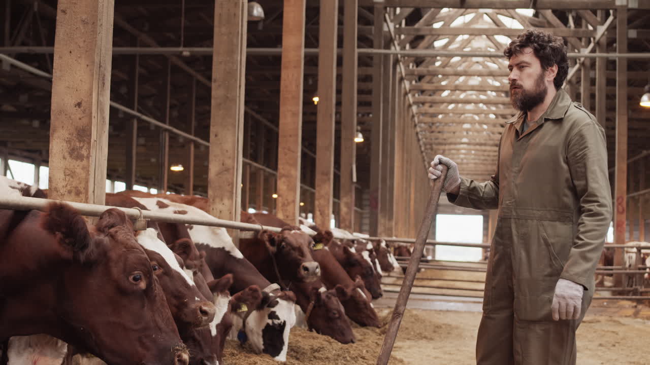 Tired Man Standing in Cowshed Frowning