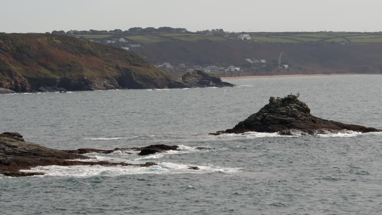 extra wide shot of seabirds on exposed rock at low tide at Bessy's Cove,The Enys by HMS Warspite monument