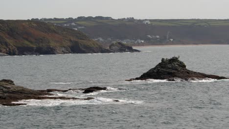 extra-wide-shot-of-seabirds-on-exposed-rock-at-low-tide-at-Bessy's-Cove,The-Enys-by-HMS-Warspite-monument