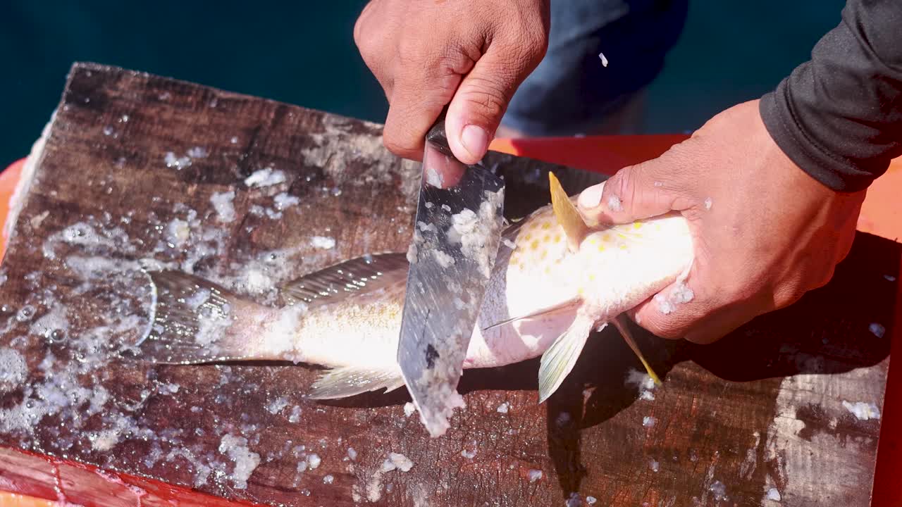 A person uses a large knife to descale and clean a spotted fish on a wooden board, outdoors in bright natural sunlight, with close-up camera angles