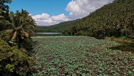 aerial footage of mahucdam lake in surigao del norte, philippines