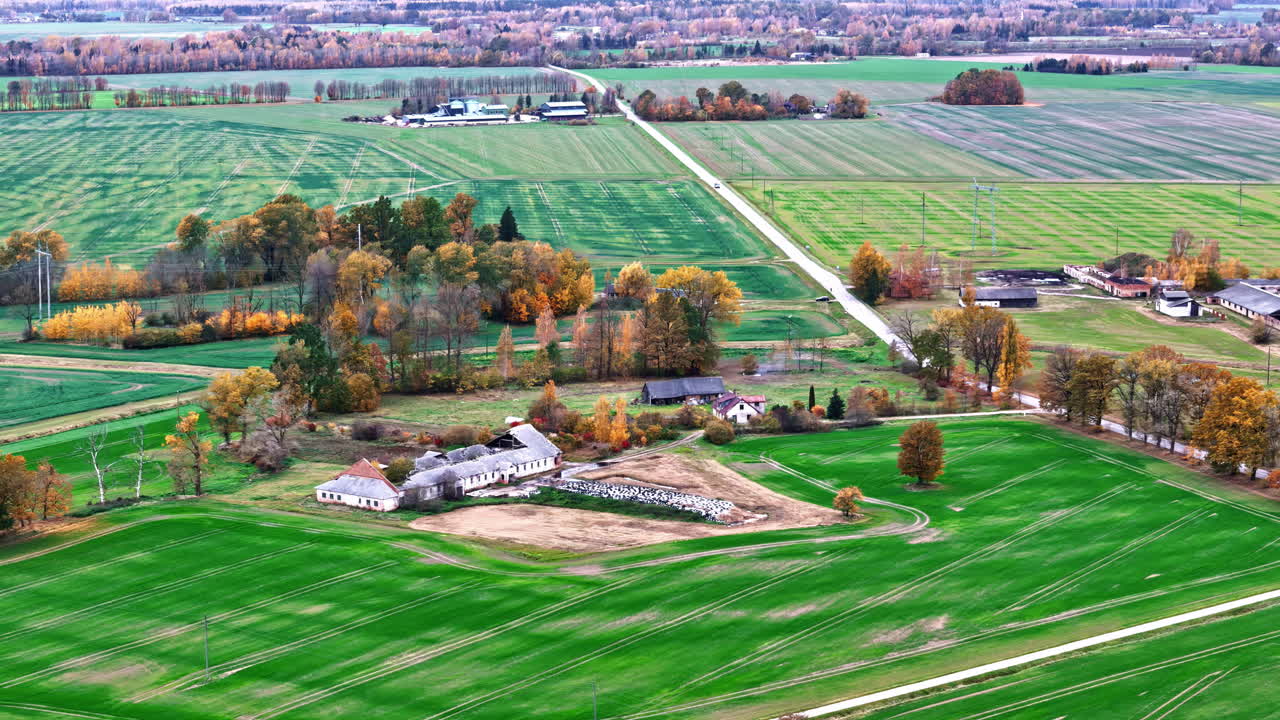 Dolly aereo in avanti su terreni agricoli pianeggianti del Baltico con fattorie sparse e fogliame autunnale lungo una strada di campagna diritta in Lettonia.