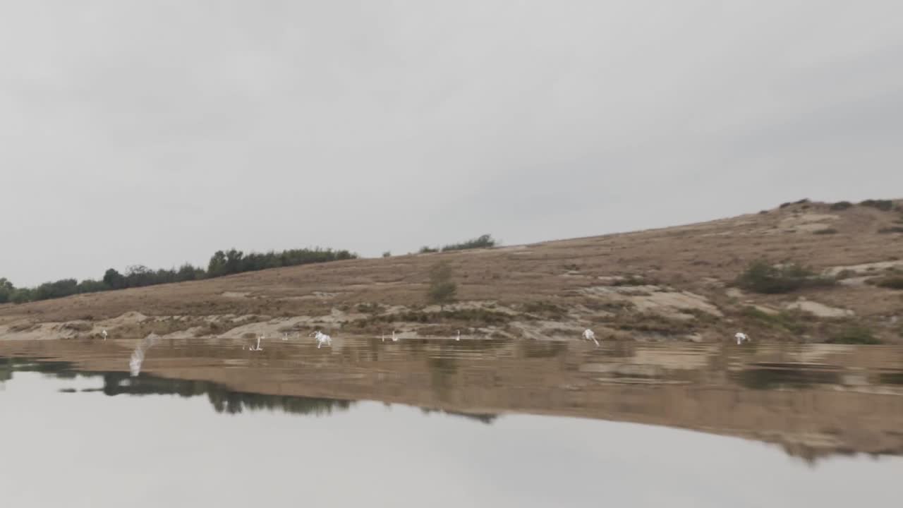 Realistic 3D animation of the beginning of a rain shower with water droplets hitting the surface of a lake shore, which then churns after the impacts
