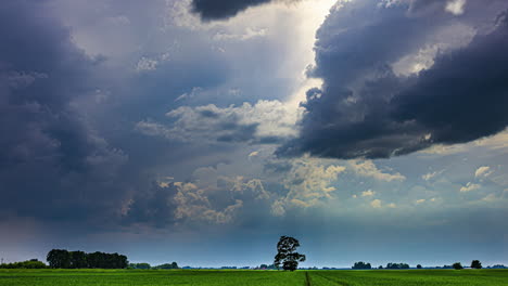 Einzigartiger-Zeitraffer-Vorbeiziehender-Dunkler-Wolken-Am-Himmel-über-Einem-Grünen-Feld-Mit-Ein-Paar-Bäumen,-Kopierraum