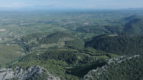 Luftdrohnenaufnahme,-Die-über-Die-Weinberge-Von-Vaucluse,-Provence,-Dentelles,-Montmirail,-Frankreich-Fliegt