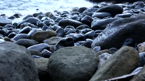 Crab-climb-the-rock-watching-the-endless-ocean