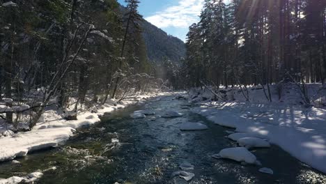 Schöner-Schneeszenenwald-Im-Winter.-Überfliegen-Von-Fluss--Und-Kiefernbäumen,-Die-Mit-Schnee-Bedeckt-Sind.