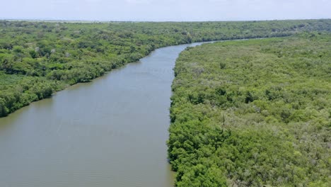 Luftüberführung-Idyllisches-Rio-Soco-In-Der-Wildnis-An-Sonnigen-Tagen-In-Der-Natur-Der-Dominikanischen-Republik