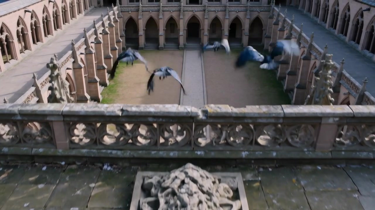 Piccioni che sbattono le ali si lanciano da un parapetto di pietra, volando e scendendo verso un cortile gotico.