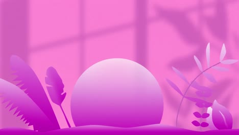 animation of sphere and plant leaves in pink, against pink wall with window and leaf shadows