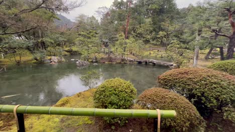 temple garden pond with falling raindrops in konchi-in temple, kyoto, japan