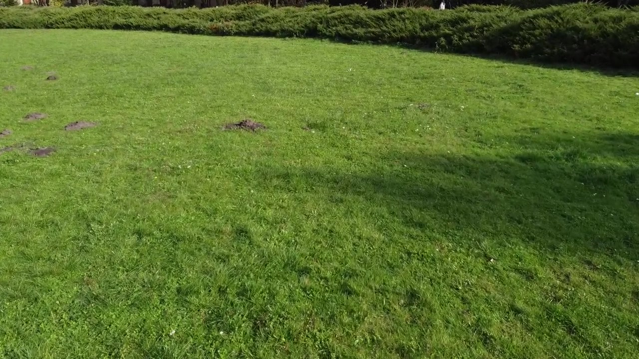 Vista aerea di un drone in volo sul parco
