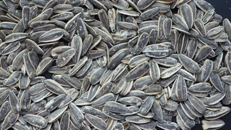 closeup of a pile of sunflower seeds